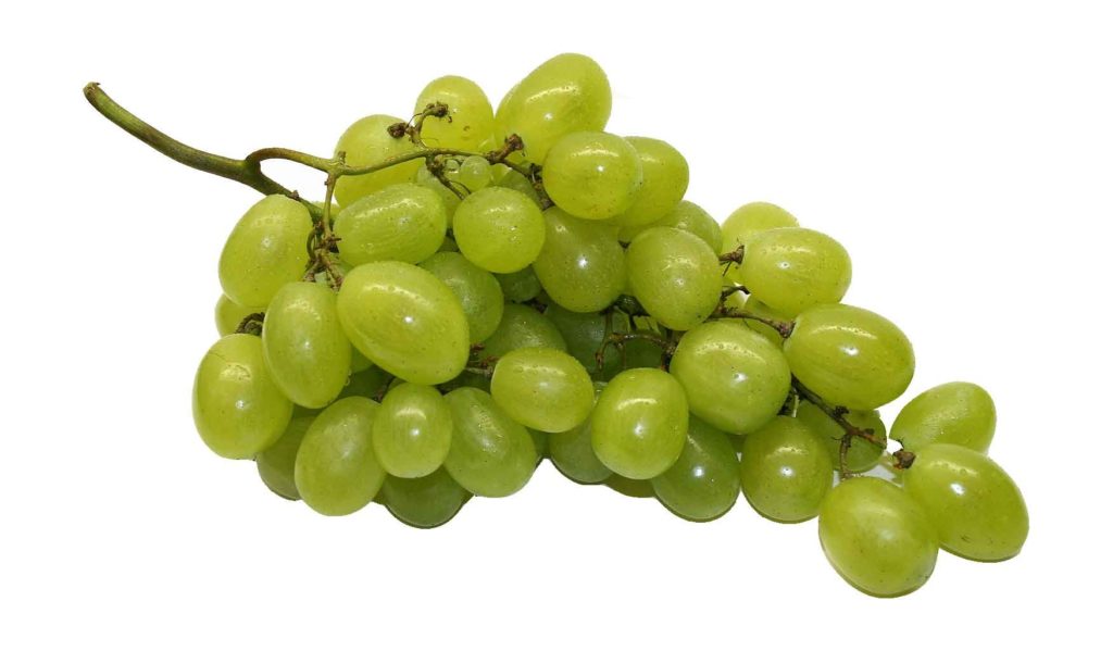 Grapeseed Oil. Learn the Benefits of Grapeseed Oil at Beauty Wellness Fusion 